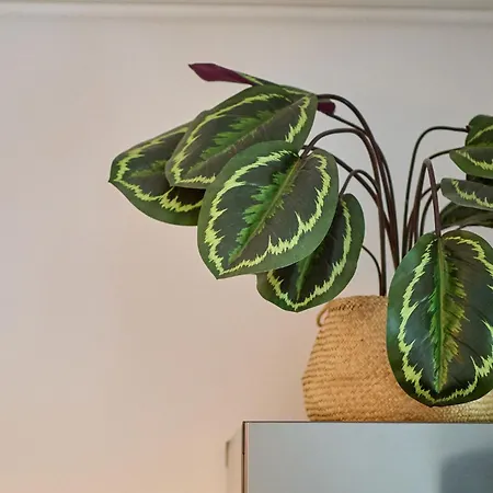 Apartment Midsummer Dream