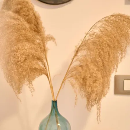 アパート Midsummer Dream