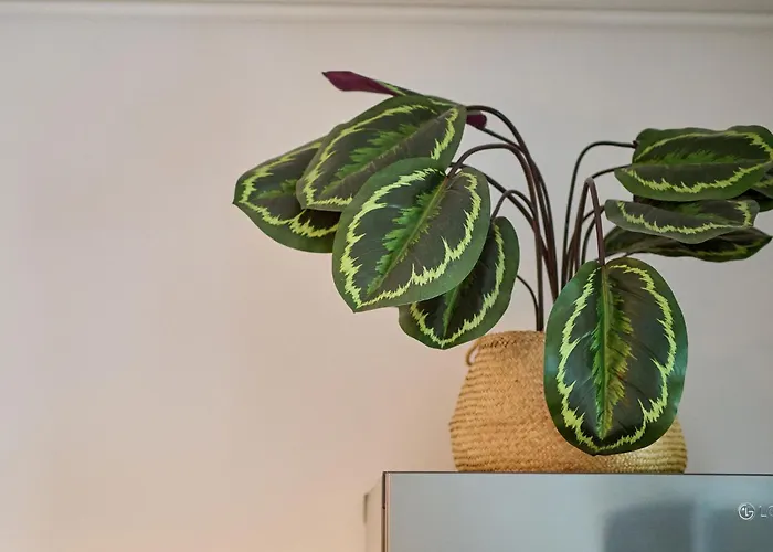 Appartement Midsummer Dream