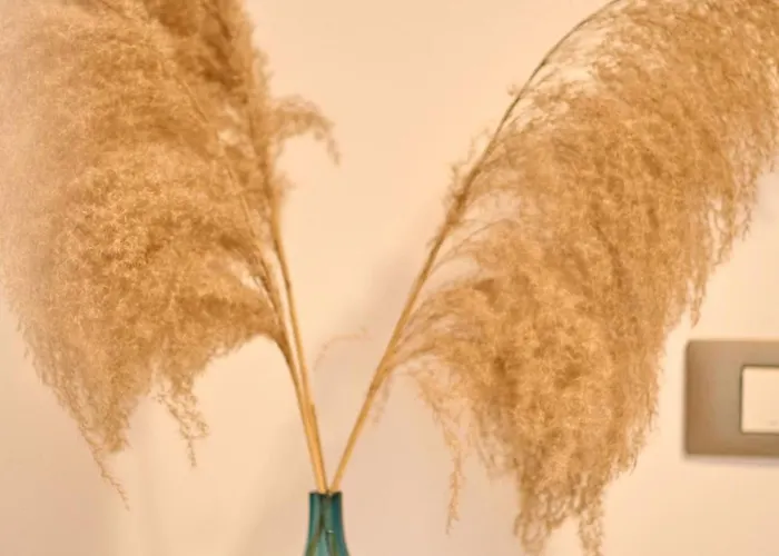 شقة Midsummer Dream